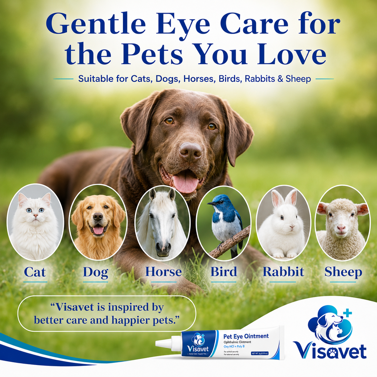 VISAVET Pet Eye Ointment tube
